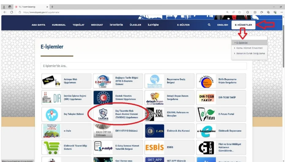 Ticaret Bakanlığı E-Hizmetler ekranında TAREKS uygulamasına erişim örneği